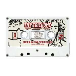 8 UND FEM - TNT TRICHOME * SUPER SATIVA SEED CLUB 8 UND FEMINIZADAS