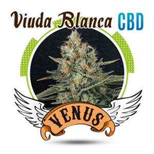 1 UND FEM - VIUDA BLANCA CBD * VENUS GENETIC 1 UND FEMINIZADAS