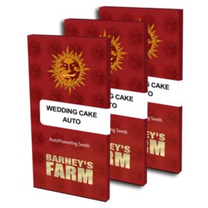 1 UND FEM - WEDDING CAKE AUTO * BARNEY'S FARM 1 UND FEMINIZADAS