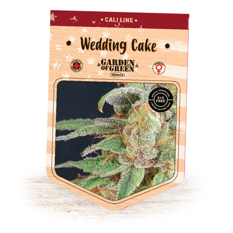15 UND FEM - WEDDING CAKE * GARDEN OF GREEN 15 UND FEMINIZADAS