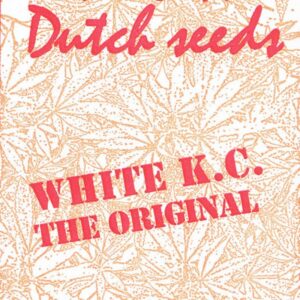 5 UND REG - WHITE K.C. * K.C.BRAINS 5 UND REGULARES