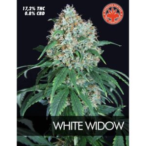 10 UND FEM- WHITE WIDOW * PURE SEEDS 10 UND FEMINIZADAS