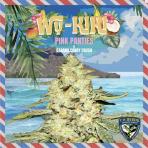 6 UND FEM - WY-KIKI * T.H. SEEDS 6 UND FEMINIZADAS
