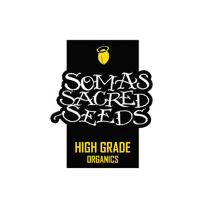 5 UND REG - FREE TIBET  * SOMA SEEDS REGULAR 5 UND