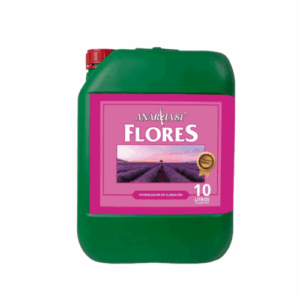 Flores