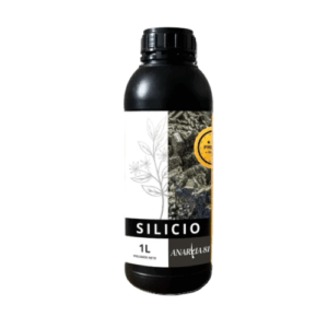Silicio